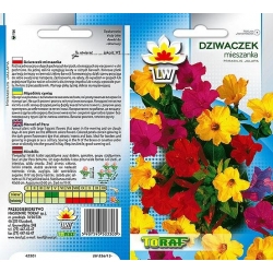 Nasiona Dziwaczek Tor323