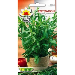  Nasiona Estragon Tor584