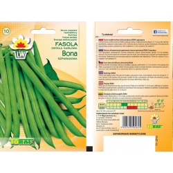 Nasiona Fasola szp. karł. Bona Tor43