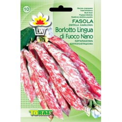 Nasiona Fasola szp. Karł. Borlotto Tor57