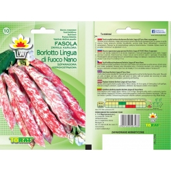 Nasiona Fasola szp. Karł. Borlotto Tor57