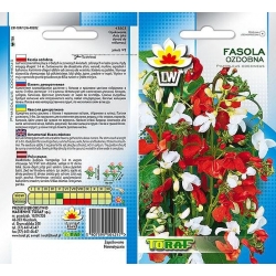 Nasiona Fasola ozdobna Tor326