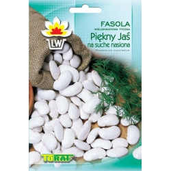 Nasiona Fasola tyczna Piękny Jaś Tor58