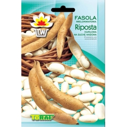 Nasiona Fasola tyczna RIPOSTA Tor59