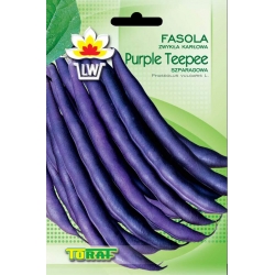 Nasiona Fasola szp. karł. fioletowa Purple Tor55