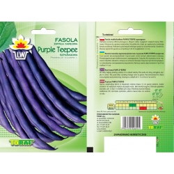 Nasiona Fasola szp. karł. fioletowa Purple Tor55