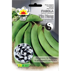 Nasiona Fasola szp. karł. YIN YANG Tor45