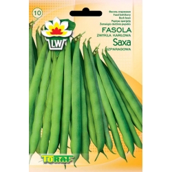 Nasiona Fasola szp. karł. zielonostr. Saxa Tor44