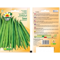 Nasiona Fasola szp. karł. zielonostr. Saxa Tor44