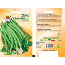 Nasiona Fasola szp. tyczna Hilds Tor46