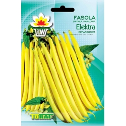 Nasiona Fasola szp. karł. żółtostr. Elektra Tor50