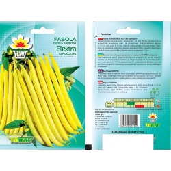 Nasiona Fasola szp. karł. żółtostr. Elektra Tor50