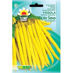 Nasiona Fasola szp. karł. żółtostr. Złota Tor48