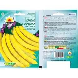 Nasiona Fasola szp. tyczna Goldmarie Tor54