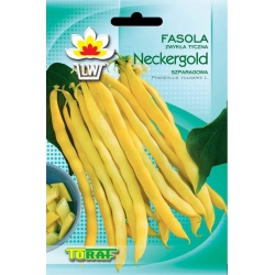 Nasiona Fasola szp. tyczna Neckargold Tor53