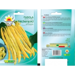 Nasiona Fasola szp. tyczna Neckargold Tor53