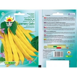 Nasiona Fasola szp. karł. Giallo Tor52