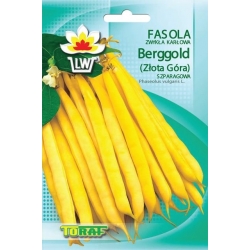 Nasiona Fasola szp. karł. żółtostr. Berggold Tor47