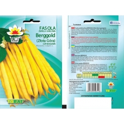 Nasiona Fasola szp. karł. żółtostr. Berggold Tor47