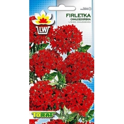 Nasiona Firletka Chalcedońska Tor328