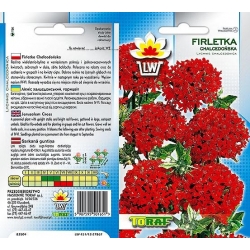 Nasiona Firletka Chalcedońska Tor328