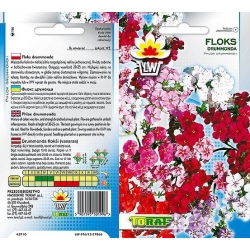 Nasiona Floks Drumonda Tor329