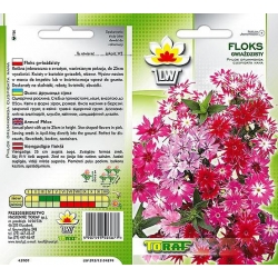 Nasiona Floks Gwiaździsty Tor330