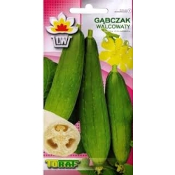 Nasiona Gąbczak walcowaty Tor334