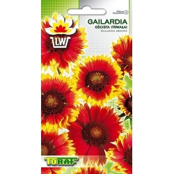 Nasiona Gailardia oścista Tor331