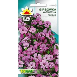 Nasiona Gipsówka wytworna Tor337