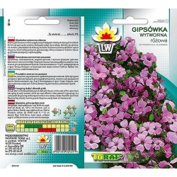 Nasiona Gipsówka wytworna Tor337