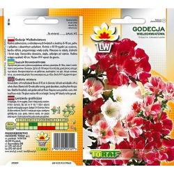 Nasiona Godecja wielkokw. Tor338