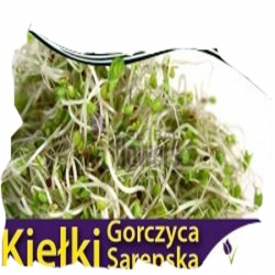 Nasiona na kiełki Gorczyca Serbska Tor532