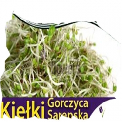 Nasiona na kiełki Gorczyca Serbska Tor532
