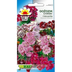 Nasiona Goździk chiński Tor341