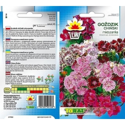 Nasiona Goździk chiński Tor341