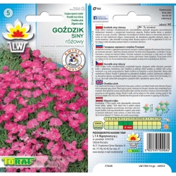 Nasiona Goździk siny Tor345