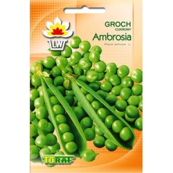 Nasiona Groch cukrowy Ambrosia Tor62