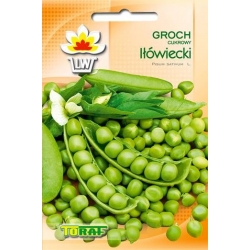 Nasiona Groch cukrowy Iłówiecki Tor61