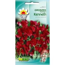 Nasiona Groszek pachnący Kenneth Tor349