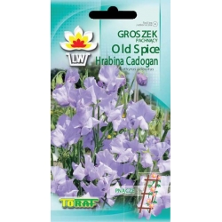 Nasiona Groszek pach. old Spice hrabina Cadogan Tor348