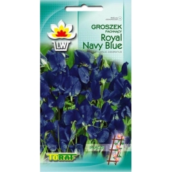 Nasiona Groszek pachnący Royal Navy Blue Tor350