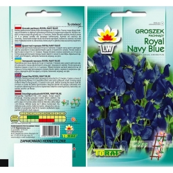 Nasiona Groszek pachnący Royal Navy Blue Tor350