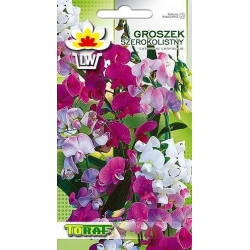 Nasiona Groszek szerokolistny Tor352