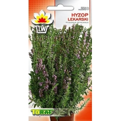 Nasiona Hyzop lekarski Tor585