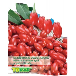 Nasiona Jagody Goji Tor353