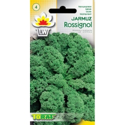 Nasiona Jarmuż Rossignol zielony Tor67