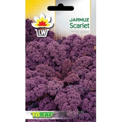 Nasiona Jarmuż Scarlet Tor68