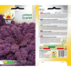 Nasiona Jarmuż Scarlet Tor68