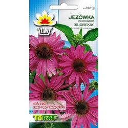 Nasiona Jeżówka purpurowa Tor354